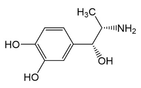 Buy Corbadrine (Neo-Cobefrin) Cas 829-74-3